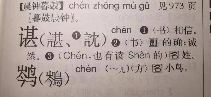为什么谌龙的"谌"读chén,而谌利军的"谌"读shèn?_读音