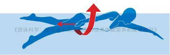 游泳科学自由泳中左右转动髋部会游得更快吗
