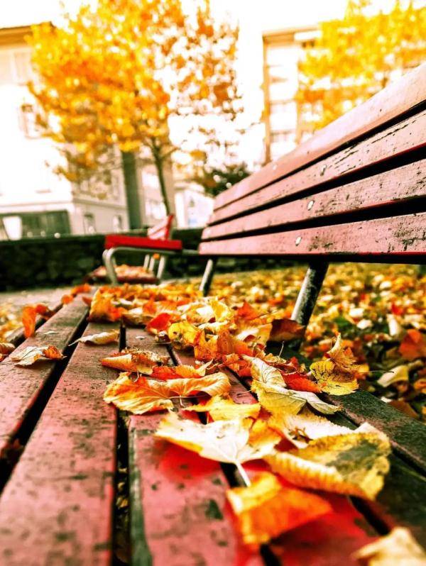 乌鲁木齐市|寒露至，秋更浓，幸福不过有人为你添衣