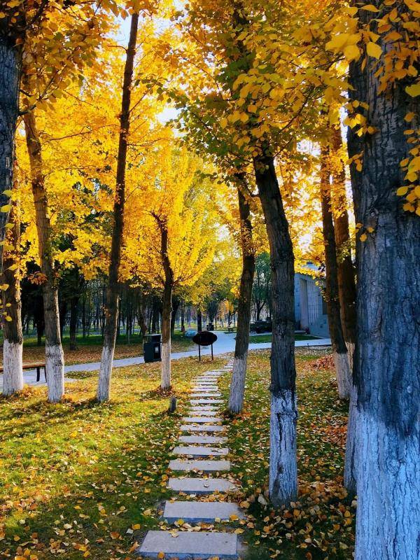 乌鲁木齐市|寒露至，秋更浓，幸福不过有人为你添衣