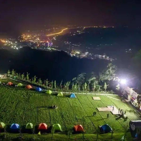 沙湾区五"新"联动,开启黄金周"宠爱"模式