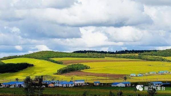 节气|寒露｜鸿雁来宾，菊有黄华