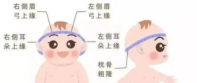 神外科普 | 给婴儿测量，这样做才正确_囟门