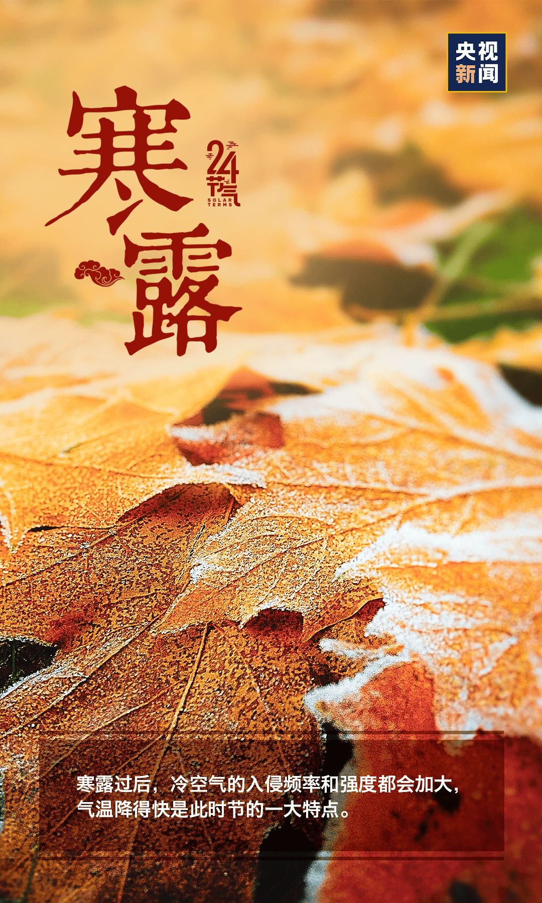 芦荻|寒露丨天冷了，多添衣