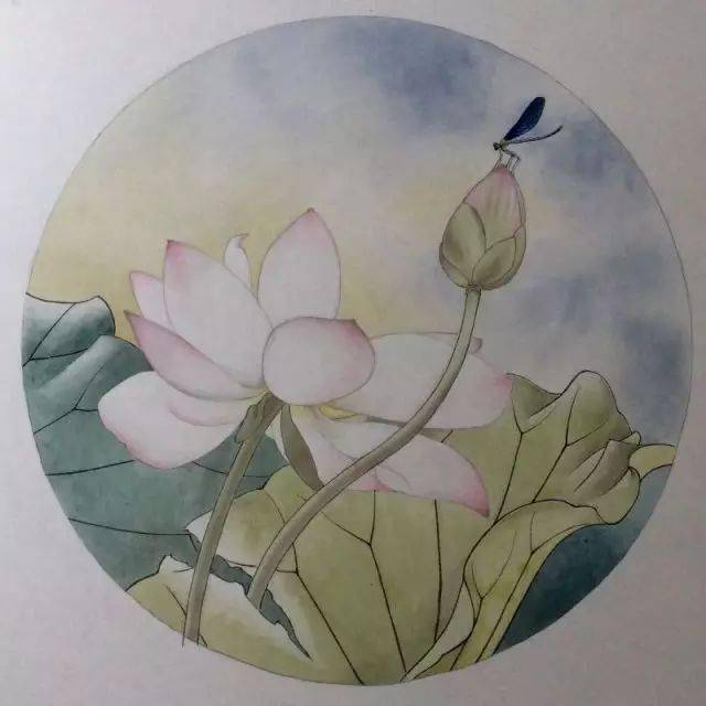 工笔画荷花豆娘晨曦绘画步骤教程