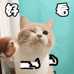 抖音近期最火的表情包是这些