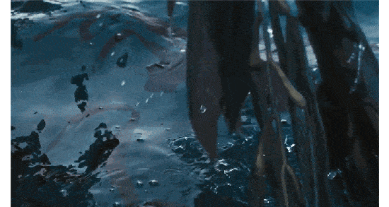 芮翰全网跟风的“雅诗兰黛高级脸”究竟长什么样？