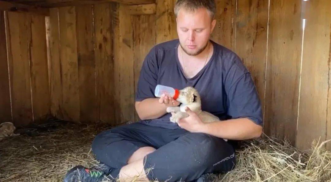 飼養員只好用奶瓶來給它餵奶 但這種餵養並不是個好主意 近日動物園裡