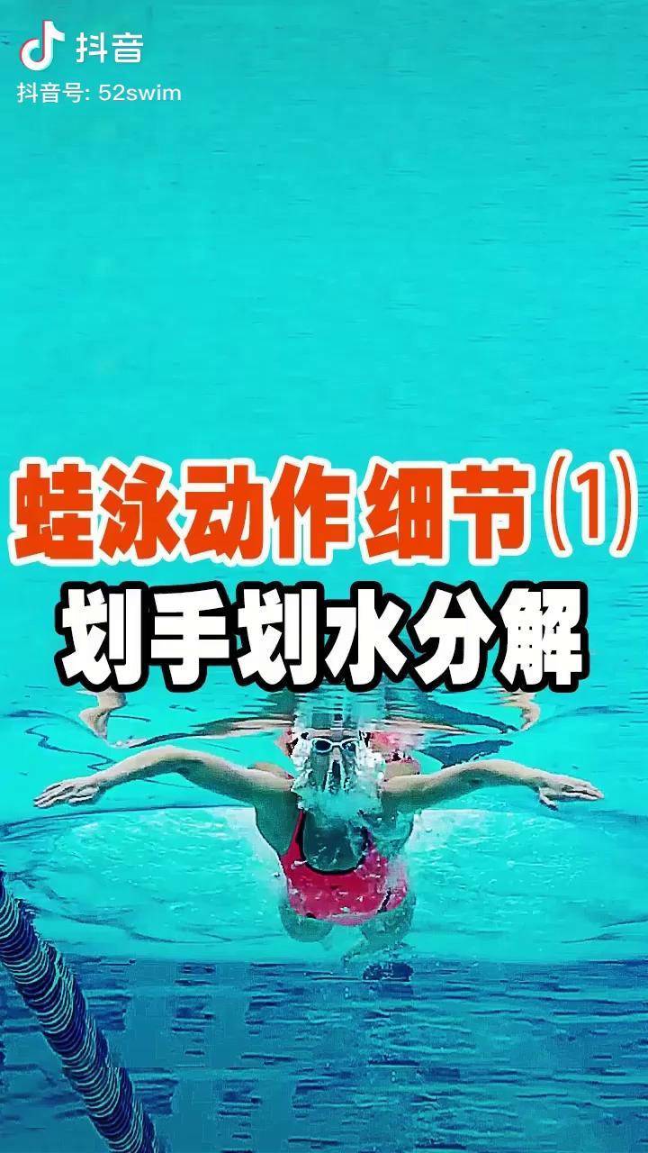 蛙泳动作细节1划手划水分解游泳 游泳教学 学游泳 蛙泳 蛙泳教学