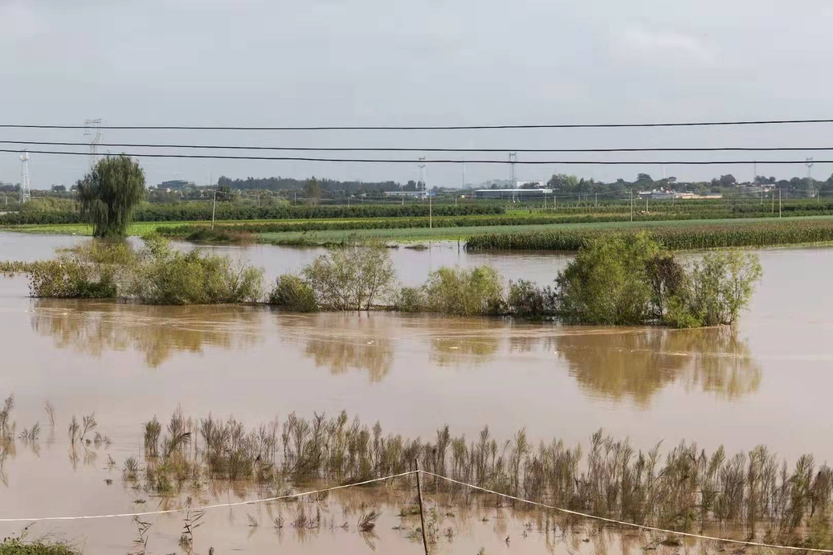 1万亩农田被淹 紧急转移1.8万余名群众