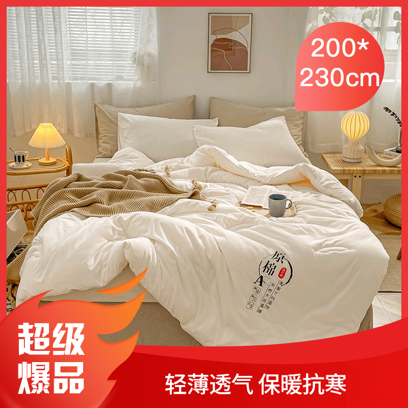 整张 原棉大豆纤维被 约6斤