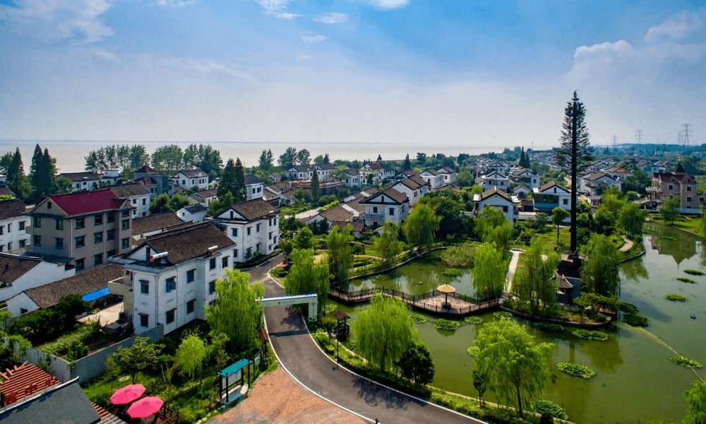 共同富裕海宁眼海宁梁家墩绿色经济的共富之路