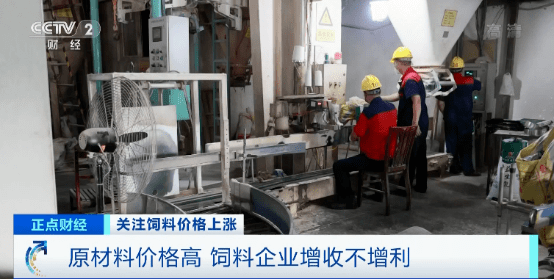 猪饲料销量排行榜_全国饲料企业销量排行榜