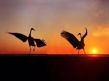 消息资讯如何巧妙安排照片中人、景、物的位置？