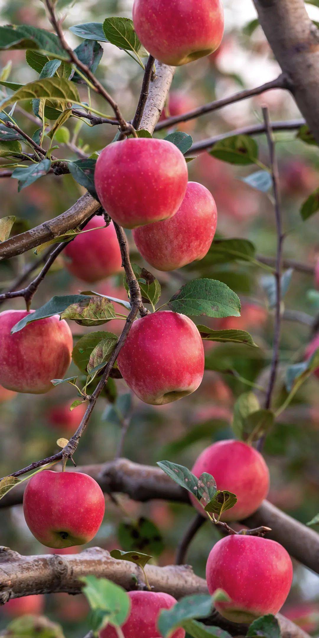 摄影:潇洒哥)(摄影:朴峰)(摄影:苗青 )(摄影:王正)(摄影:刘兆龙)(摄影