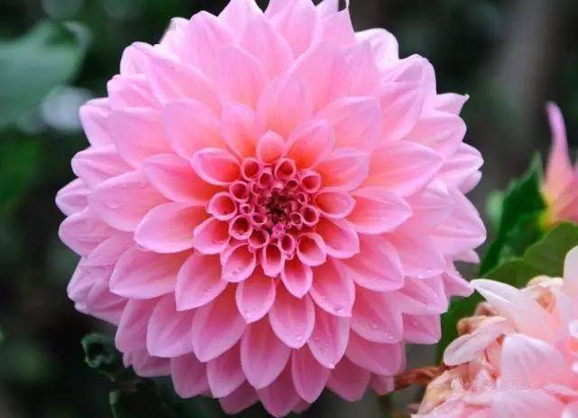 130�� · ������ͥ����ֲ������������֣�