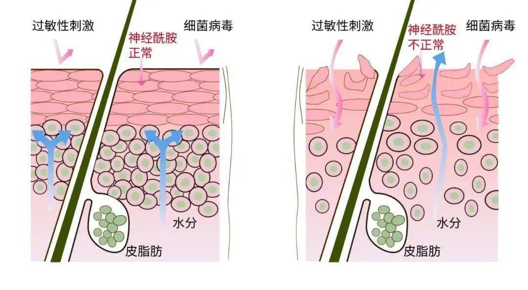 屏障护肤行业真大佬：全国皮肤科第一，一个面霜做3年，有多好用？