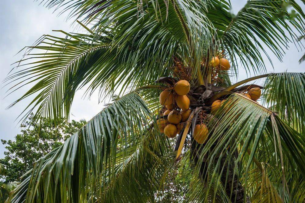食物含锌量排行榜表_中国食安舆情排行榜11月第1周全国最受关注的食品安全新闻