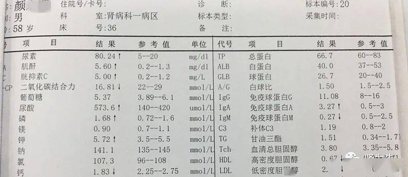 6μmol/l,二氧化碳結合力(co2-cp)16.81mmol/l,血鉀(k)5.