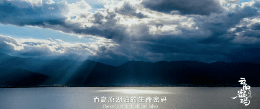 c84ae8e1643146408647f56b2cbbcd72.png
