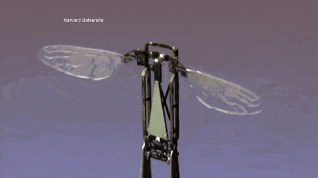 苍蝇摄像头飞行器图片