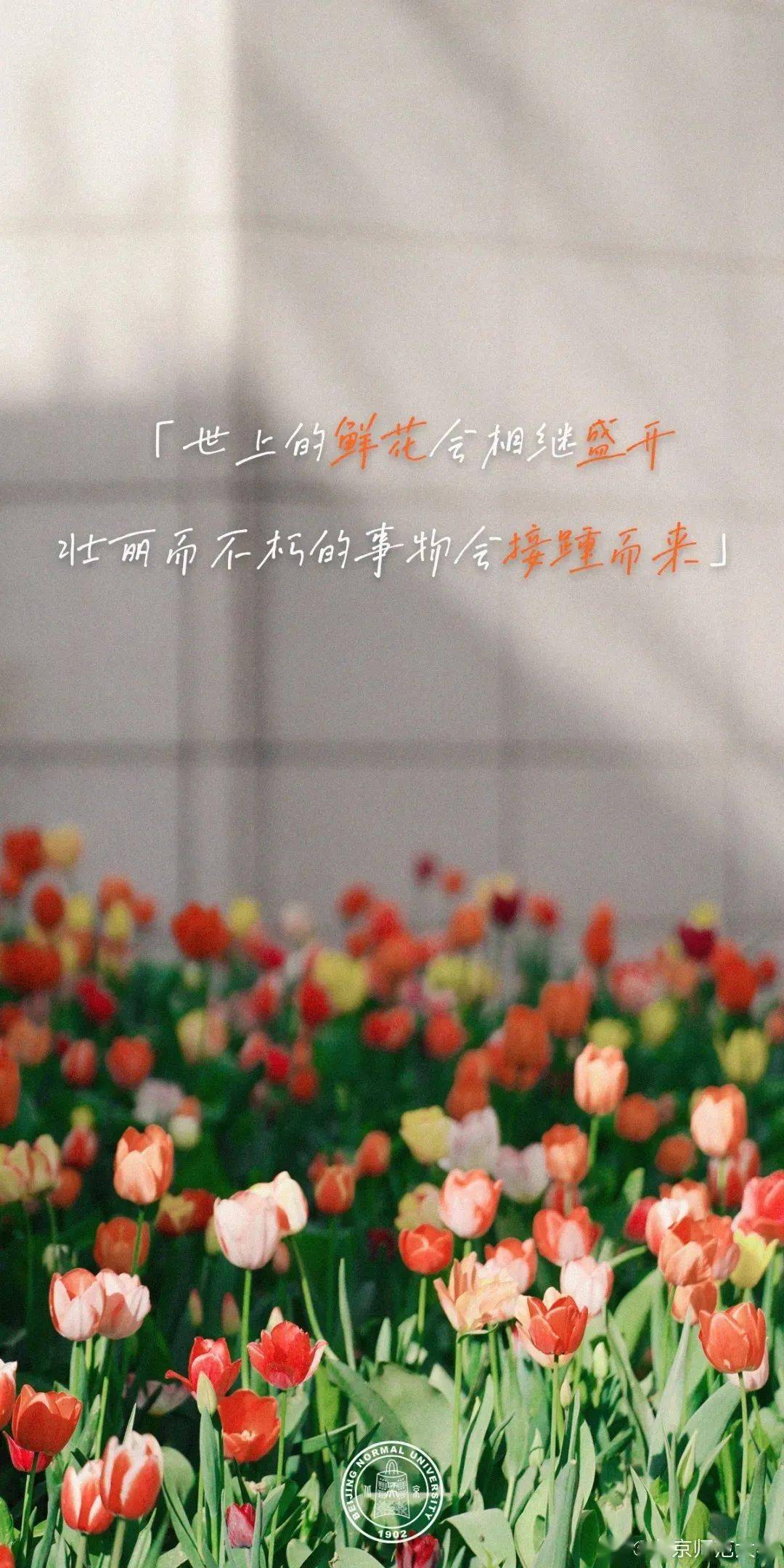 万山 秋天的第一张照片，当然要定格在最美的校园 | 征集