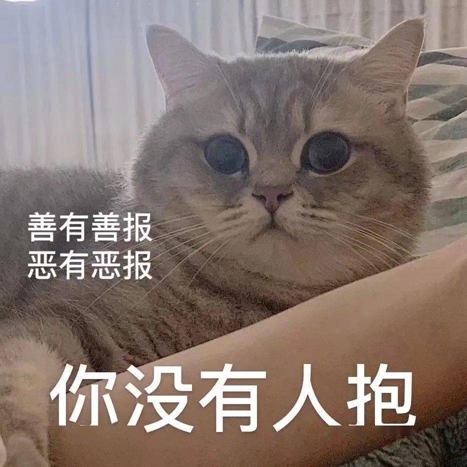 每日精选沙雕表情包
