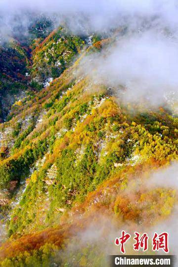 景区|张张壁纸！快来下载属于你的秋雪六盘山美景