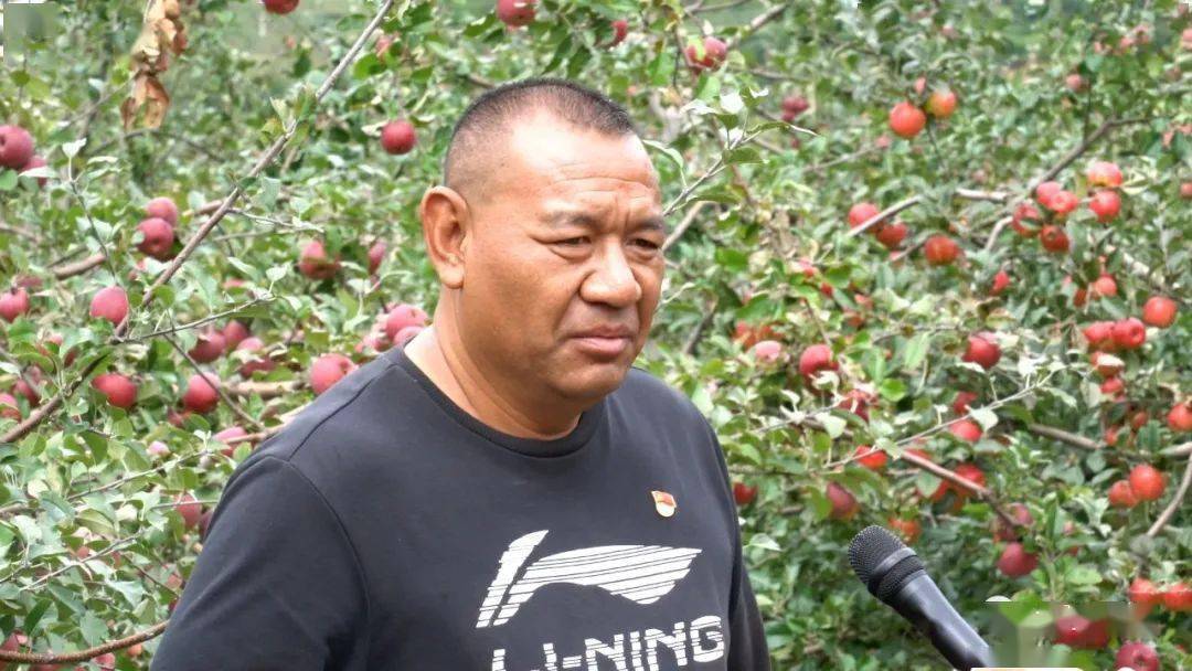 宾川平川镇:"党支部 电商"带领农户念好"致富经"