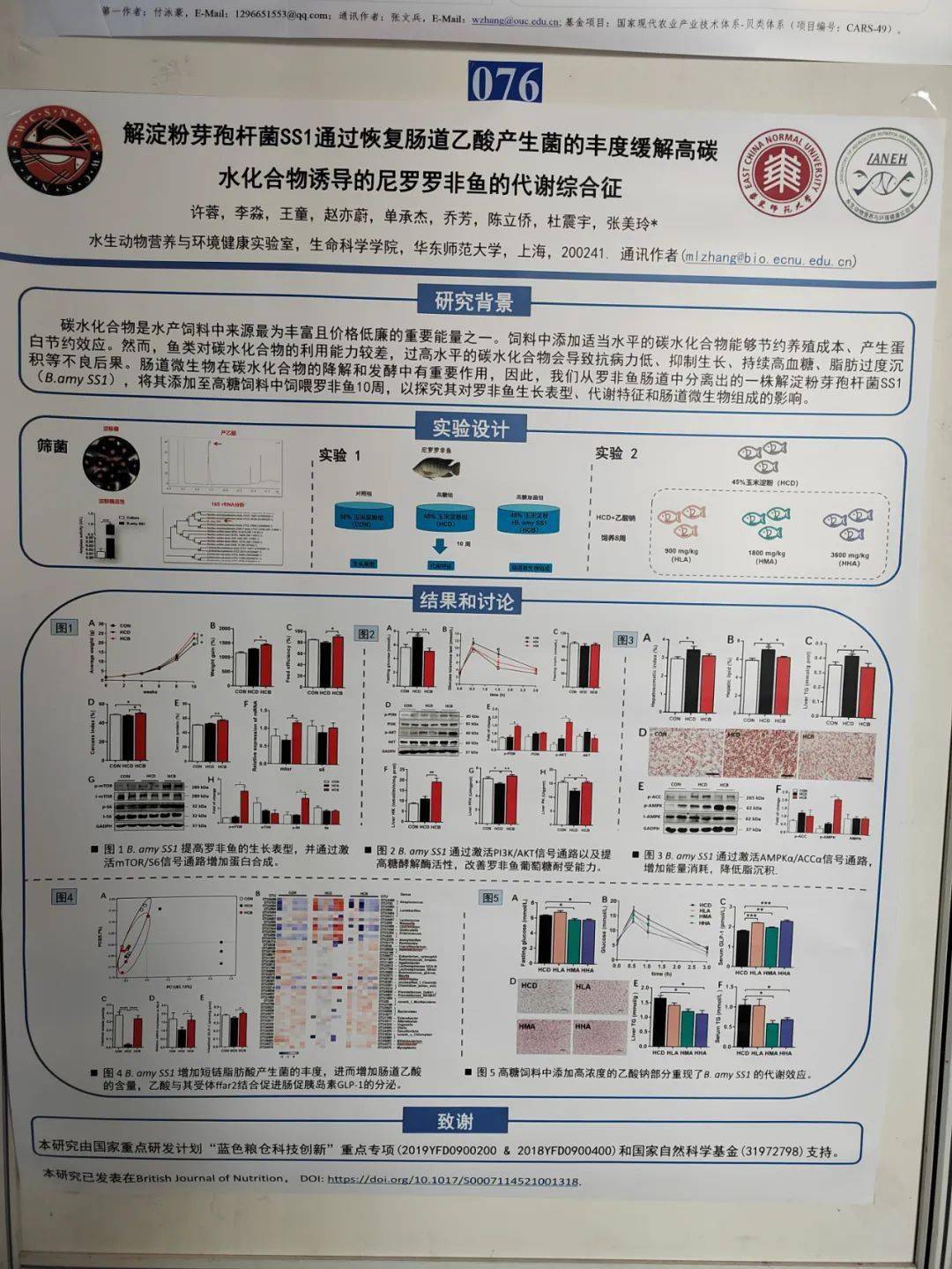 优秀学术会议墙报ppt图片