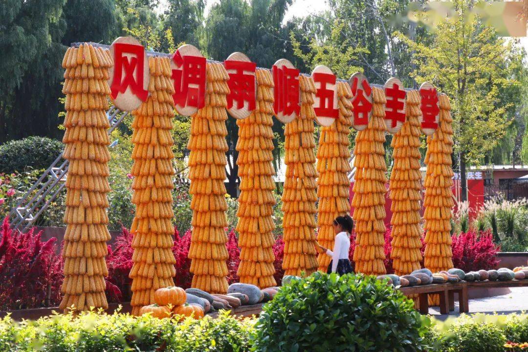 带爸妈重温丰收的喜悦,在一进园的雕塑旁有玉米搭设的造型,"风调雨顺