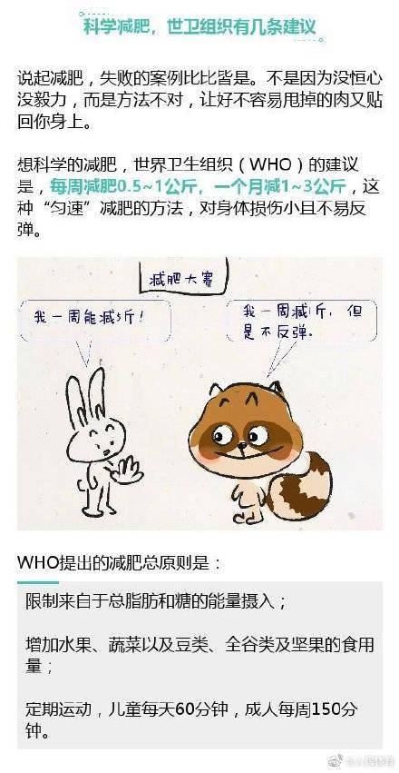 反弹|世卫组织推荐的不反弹减肥法