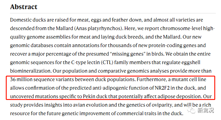 肉鸭育种新突破中国农大研究人员发现肉鸭脂肪沉积调控基因