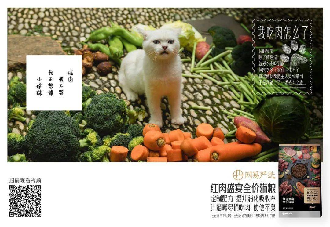 猫粮营销扎堆，网易严选凭借一部猫片强势突围？ 