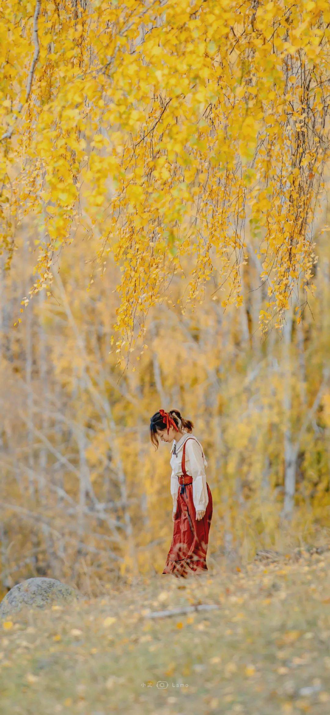 Ins风高级感手机壁纸 搜狗图片搜索