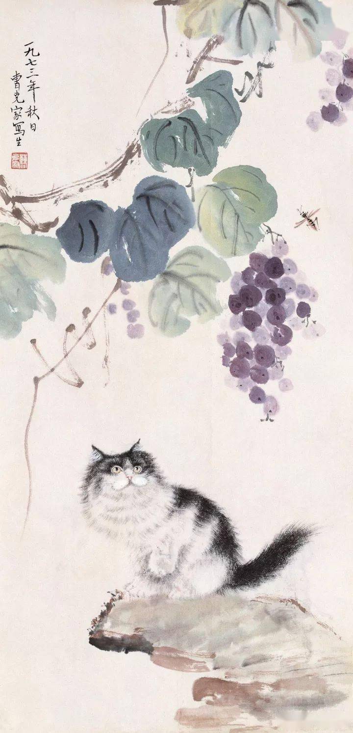 曹克家画猫既萌又可爱