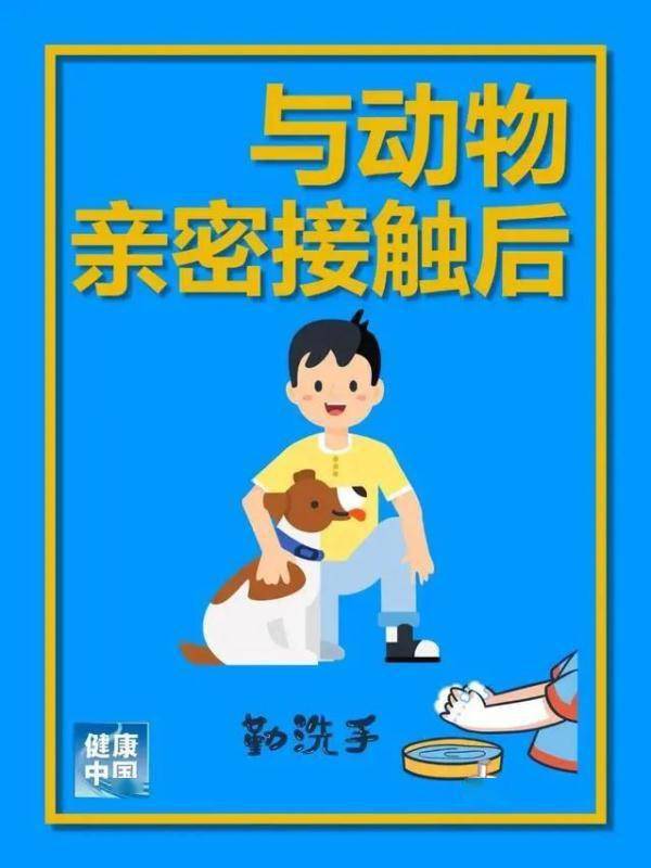 防线|全球洗手日：做这些事一定要洗手！你都知道吗