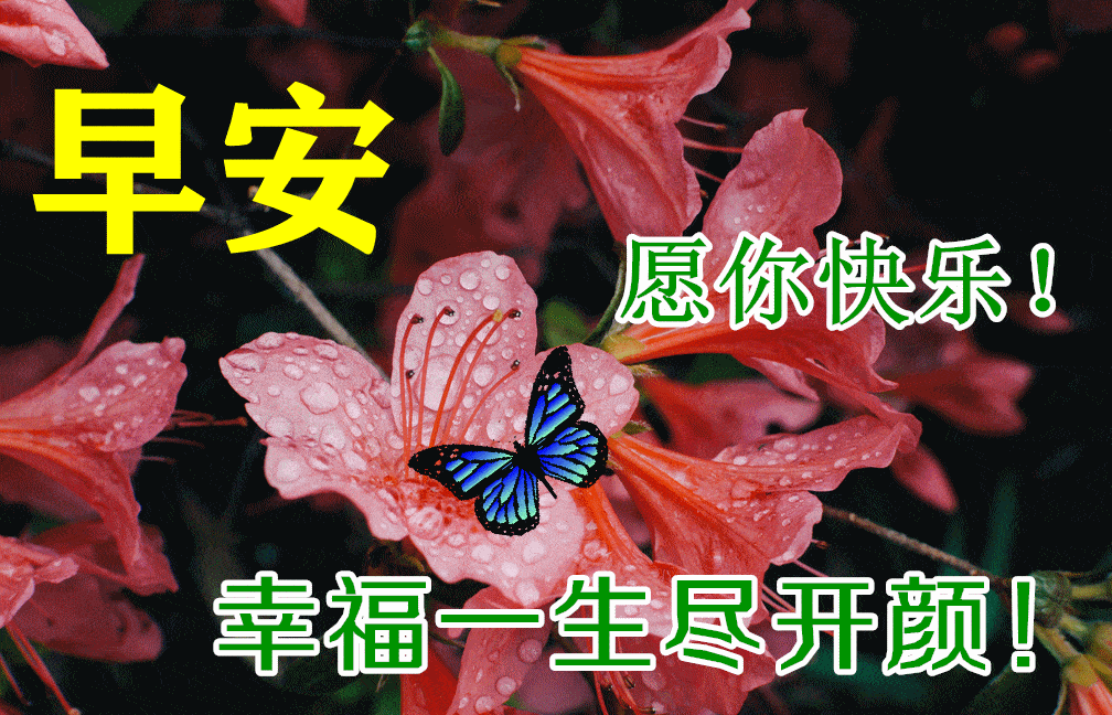 10月15日早上好动态表情图片大全,早晨好动图美图大全_问候