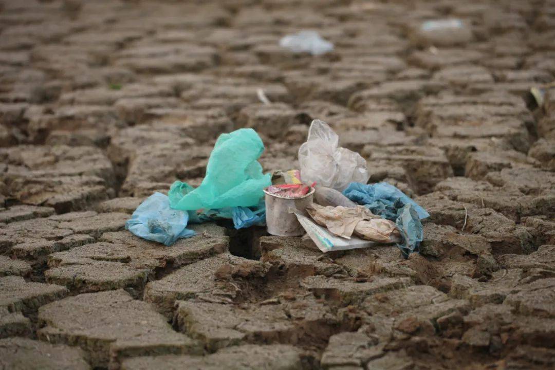 生物多样性破坏的图片图片