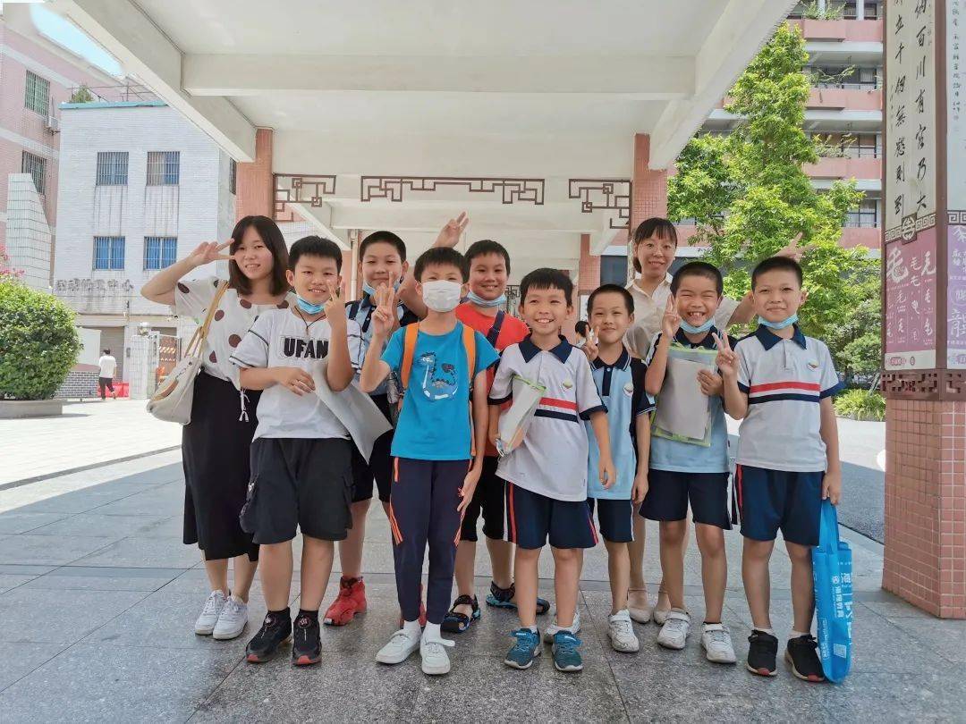 大沥城南小学 白骐榕图片