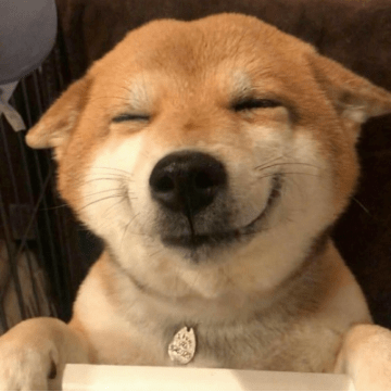 嘶鸣的意思是什么 2ac57d4596ac49228a22b01f0f64b06a.png