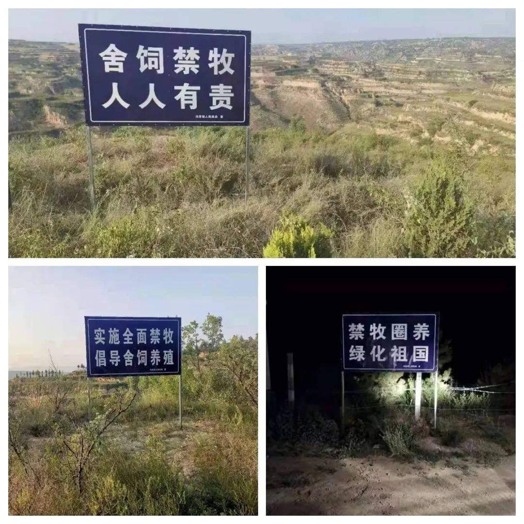 禁牧圈养 保护环境 冯原林业在行动