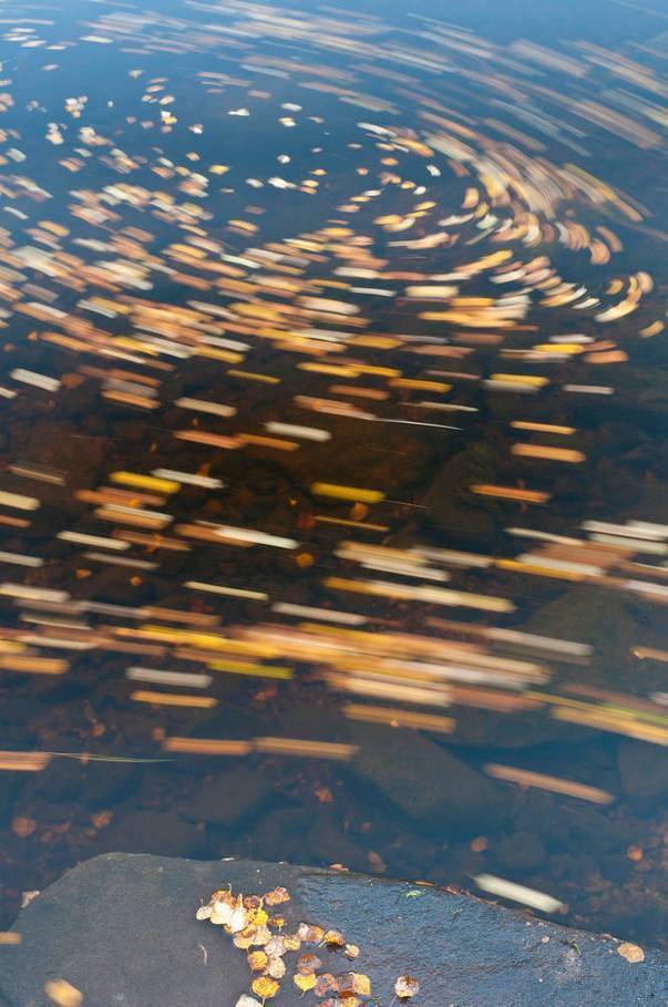 时候秋天的慢门怎么拍出与众不同的感觉？有5条捷径可走！