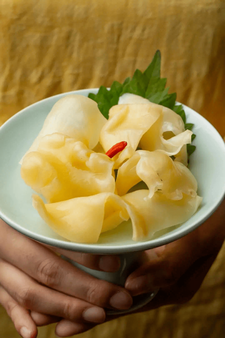 满满的胶原蛋白仅99元抢金汤花胶鸡火锅套餐原汁浓汤堪比skll一锅花胶