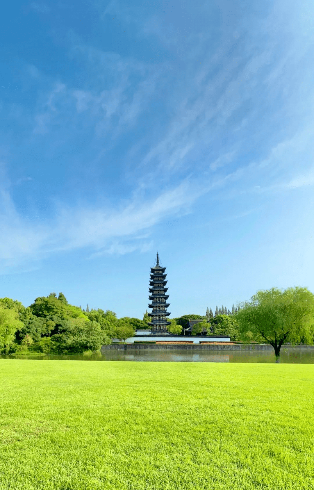 太喜欢松江的公园了