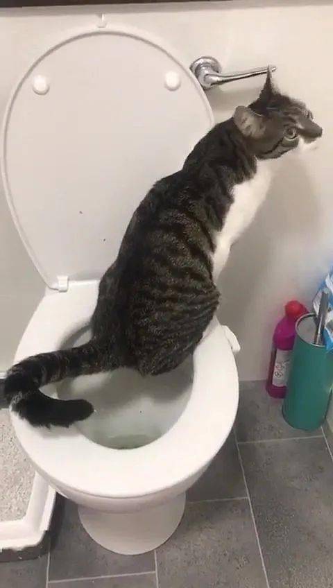 a9e7fd0b191c4e9d874716017e10ebf9.jpeg