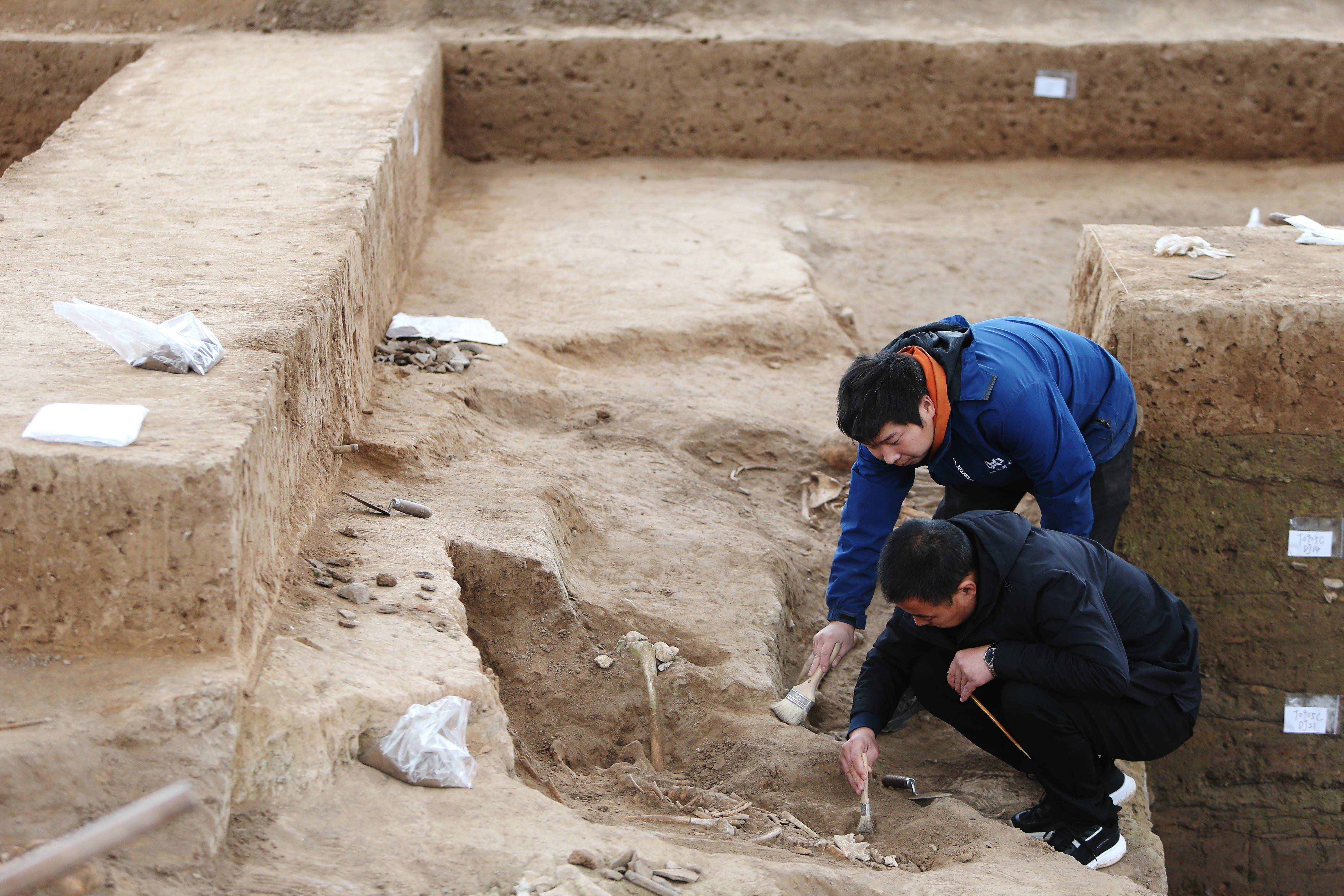 工作人员在仰韶村遗址第四次考古发掘现场作业(10月15日摄)