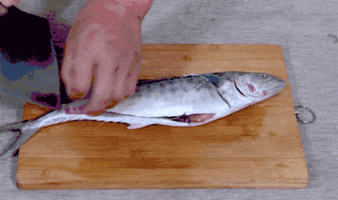 eeb15a454c4e460a8b01ad3f0afcb03d.gif
