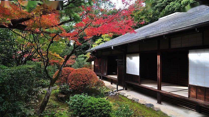 秋之韵 · 大德寺高桐院