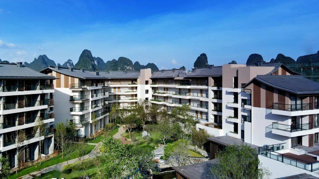 67广西看秋,海洋乡银杏&恭城柿子节_桂林